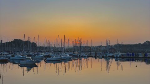 Reflets d'Or